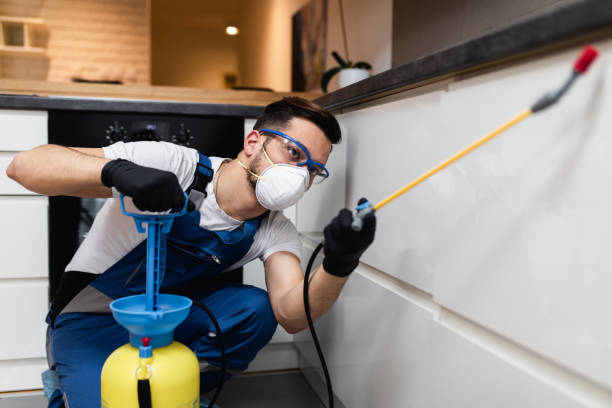 Best Residential Pest Control  in Ringgold, GA