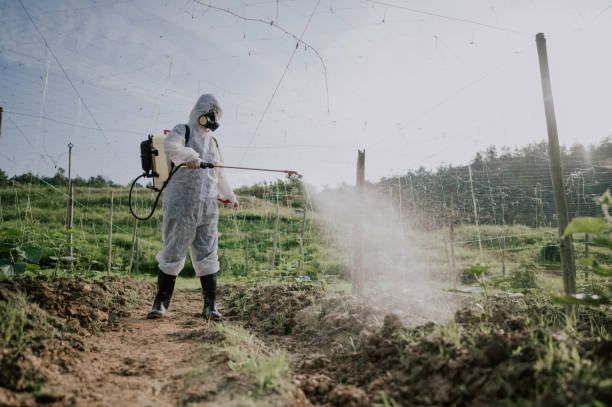 Best Best Pest Control Companies  in Ringgold, GA