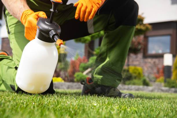 Best Mosquito Control Services  in Ringgold, GA