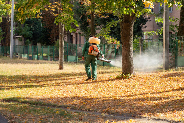 Best Exterminator Services  in Ringgold, GA