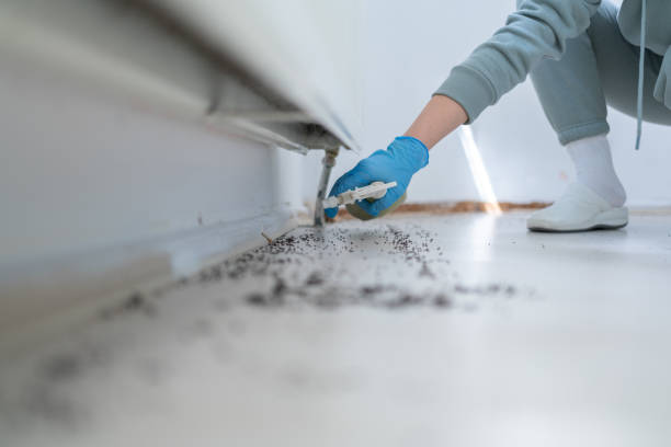 Best Wildlife Control Services  in Ringgold, GA
